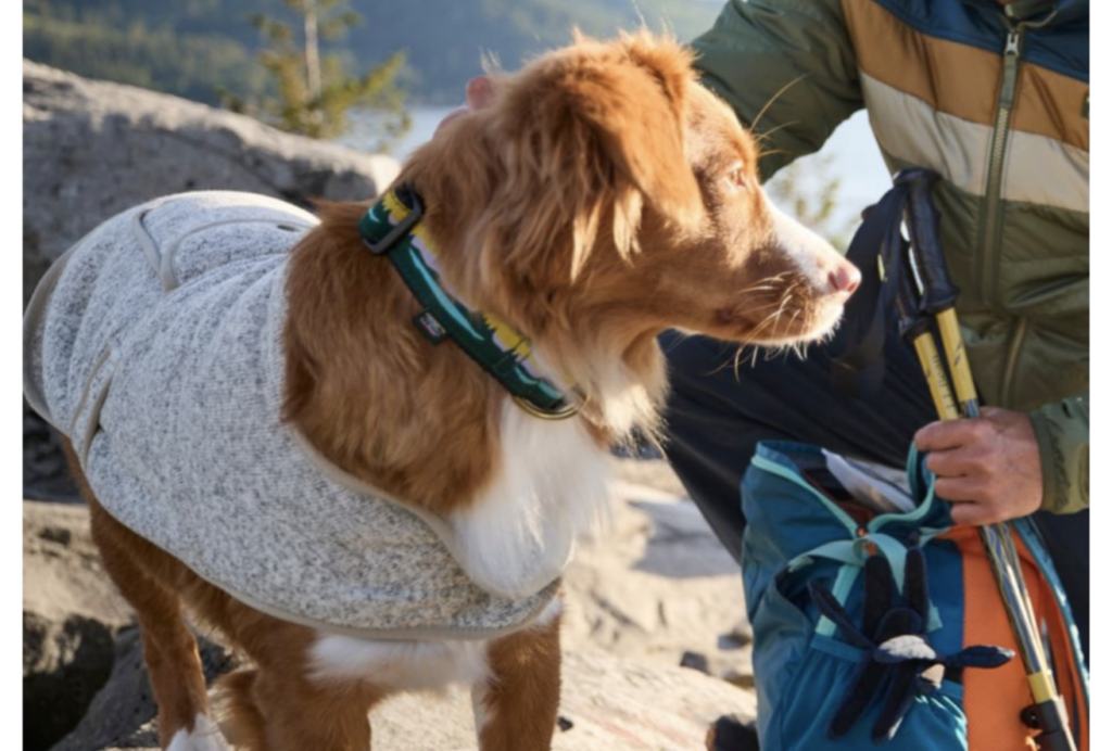 LL Bean Dog Fleece Jacket, LL Bean Black Friday Cyber Monday deals